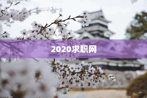 2020求职网
