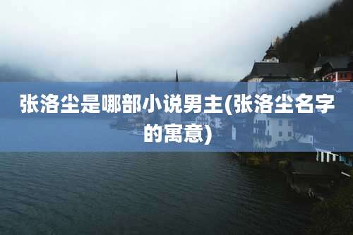 张洛尘是哪部小说男主(张洛尘名字的寓意)