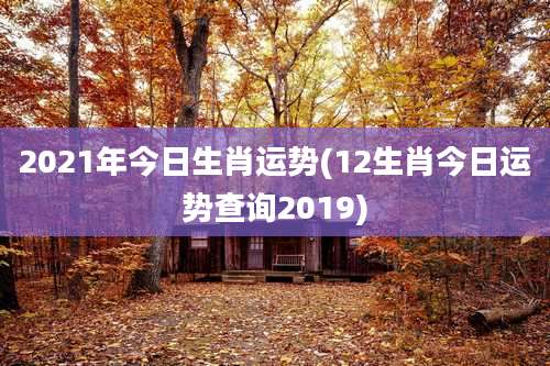 2021年今日生肖运势(12生肖今日运势查询2019)