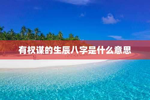 有权谋的生辰八字是什么意思