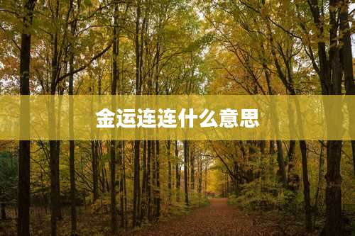 金运连连什么意思