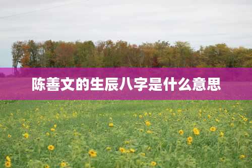 陈善文的生辰八字是什么意思