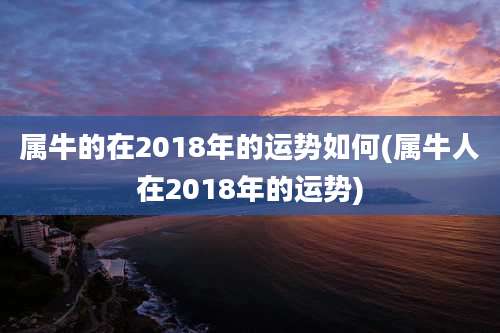 属牛的在2018年的运势如何(属牛人在2018年的运势)