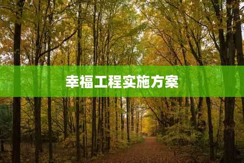 幸福工程实施方案