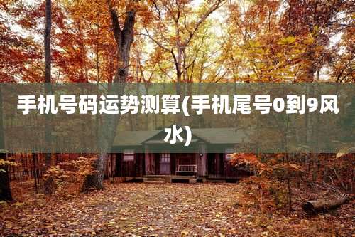 手机号码运势测算(手机尾号0到9风水)