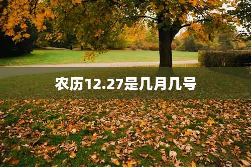 农历12.27是几月几号
