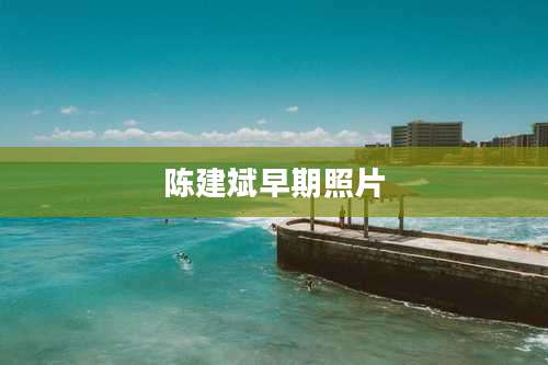 陈建斌早期照片