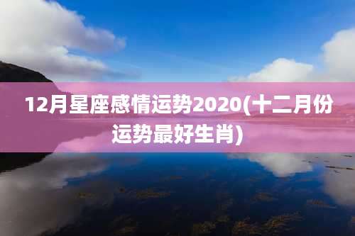 12月星座感情运势2020(十二月份运势最好生肖)