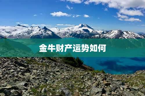 金牛财产运势如何
