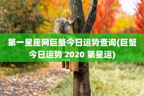 第一星座网巨蟹今日运势查询(巨蟹今日运势 2020 第星运)