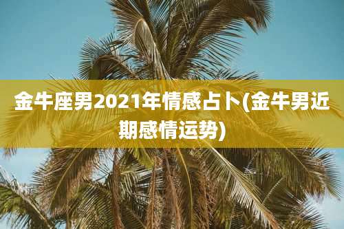 金牛座男2021年情感占卜(金牛男近期感情运势)