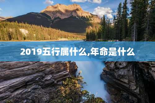 2019五行属什么,年命是什么