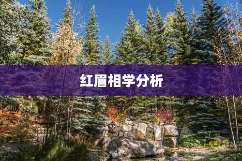 红眉相学分析