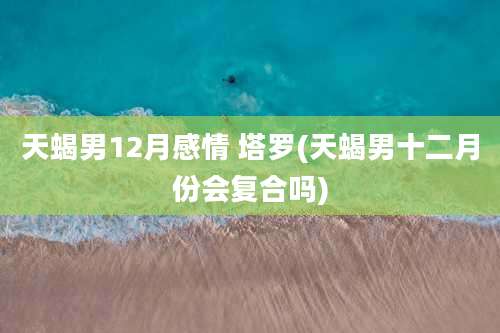 天蝎男12月感情 塔罗(天蝎男十二月份会复合吗)