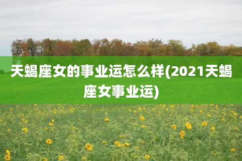天蝎座女的事业运怎么样(2021天蝎座女事业运)