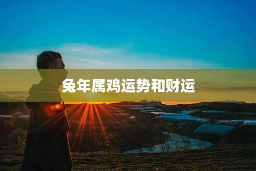 兔年属鸡运势和财运