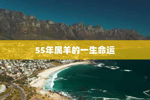 55年属羊的一生命运