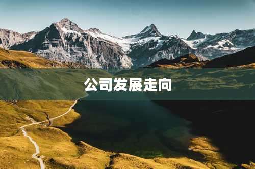 公司发展走向