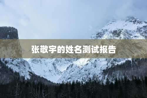张敬宇的姓名测试报告