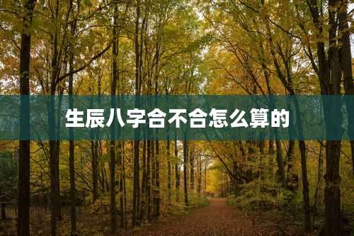 生辰八字合不合怎么算的