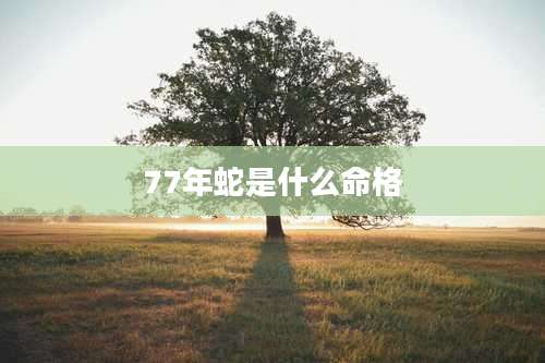 77年蛇是什么命格
