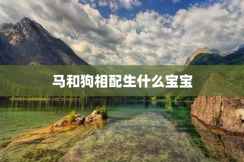马和狗相配生什么宝宝