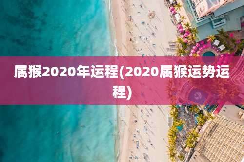属猴2020年运程(2020属猴运势运程)
