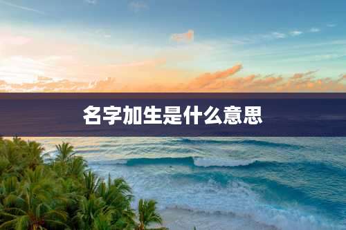 名字加生是什么意思