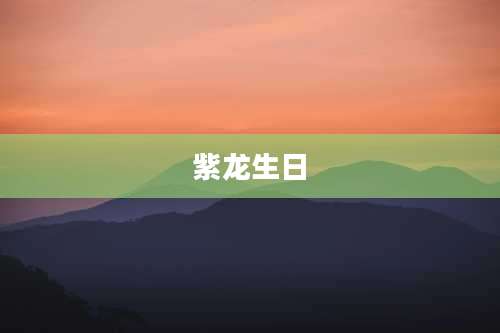 紫龙生日
