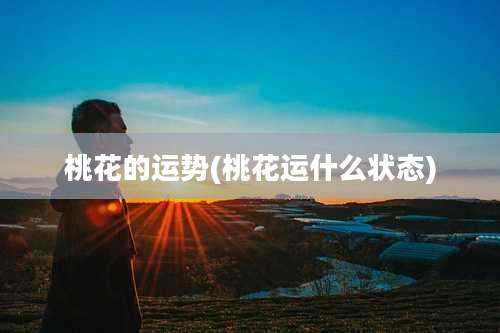 桃花的运势(桃花运什么状态)