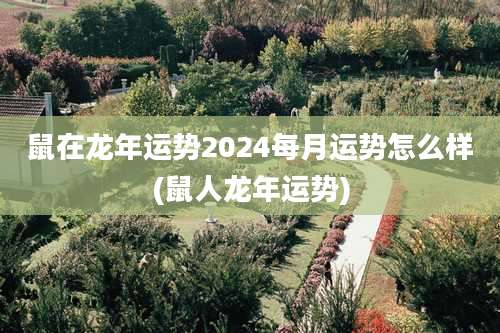 鼠在龙年运势2024每月运势怎么样(鼠人龙年运势)