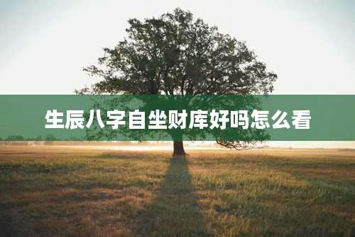 生辰八字自坐财库好吗怎么看