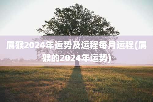 属猴2024年运势及运程每月运程(属猴的2024年运势)