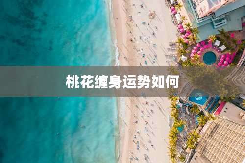 桃花缠身运势如何