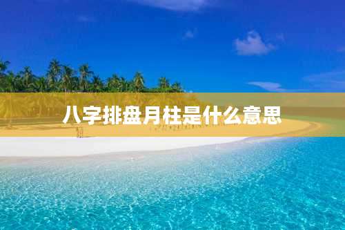 八字排盘月柱是什么意思