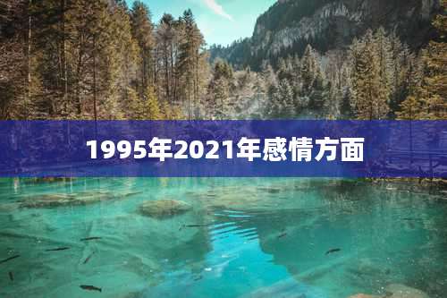 1995年2021年感情方面