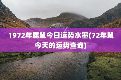 1972年属鼠今日运势水墨(72年鼠今天的运势查询)