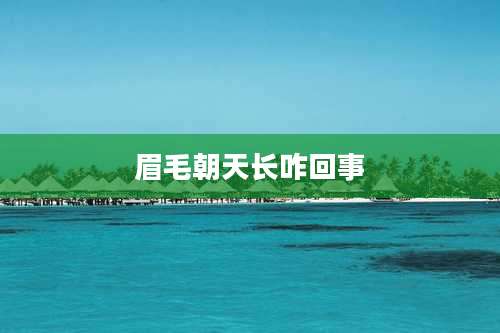 眉毛朝天长咋回事