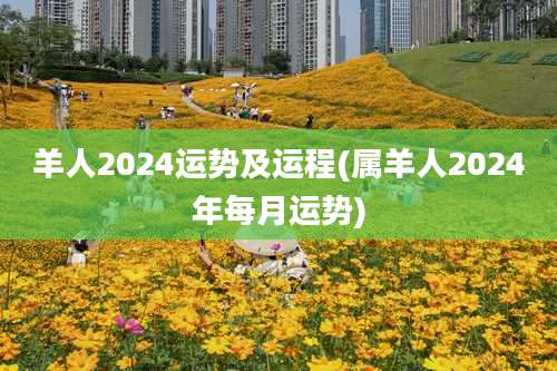 羊人2024运势及运程(属羊人2024年每月运势)