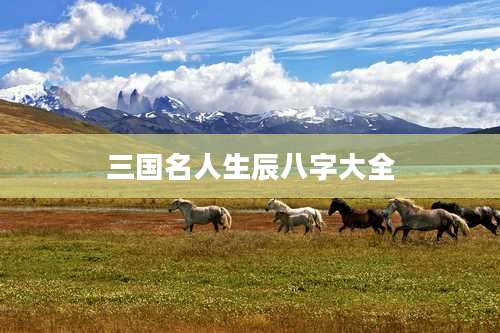 三国名人生辰八字大全