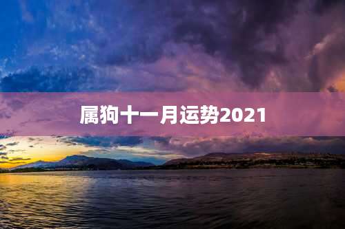 属狗十一月运势2021