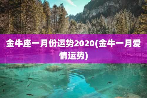 金牛座一月份运势2020(金牛一月爱情运势)