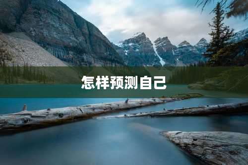 怎样预测自己