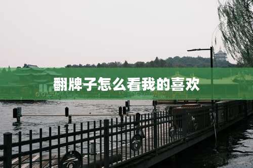 翻牌子怎么看我的喜欢