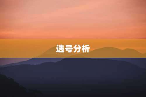 选号分析