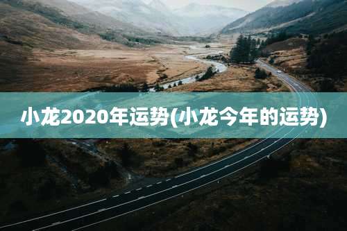 小龙2020年运势(小龙今年的运势)