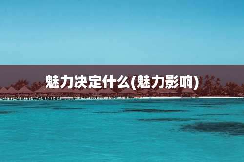 魅力决定什么(魅力影响)