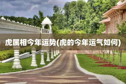 虎属相今年运势(虎的今年运气如何)