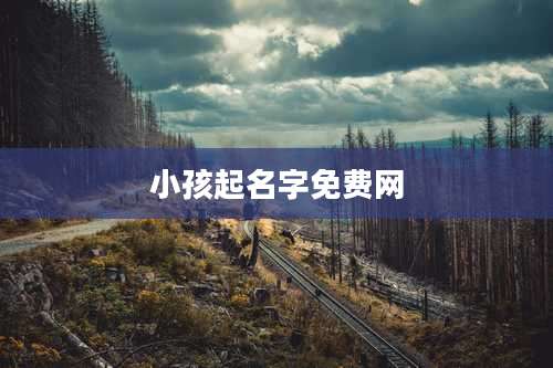 小孩起名字免费网