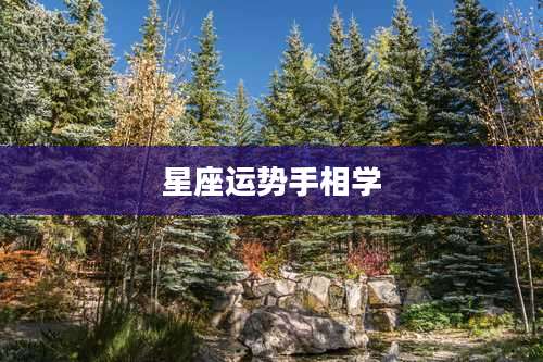 星座运势手相学